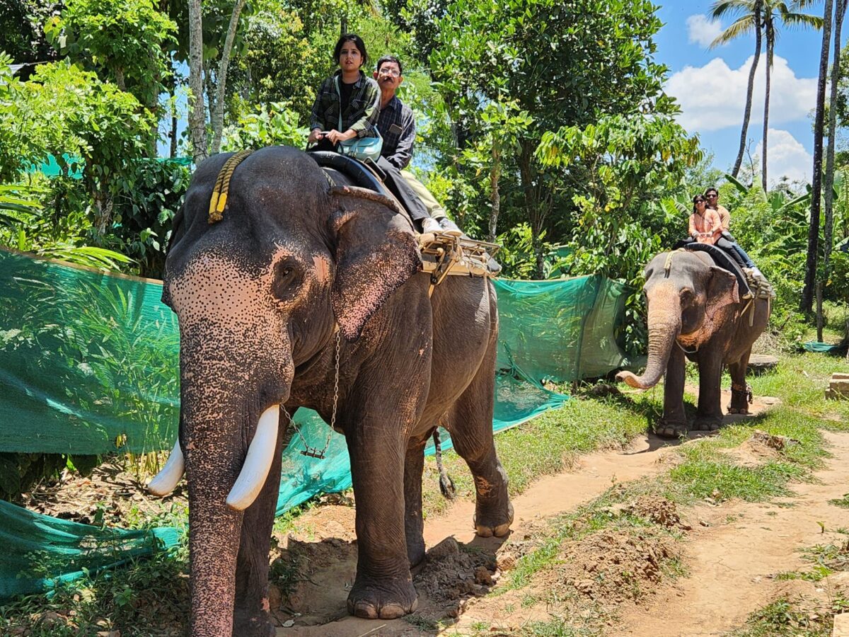 Elephant Ride at Thekkady